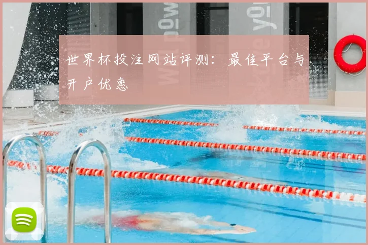 世界杯投注网站评测：最佳平台与开户优惠
