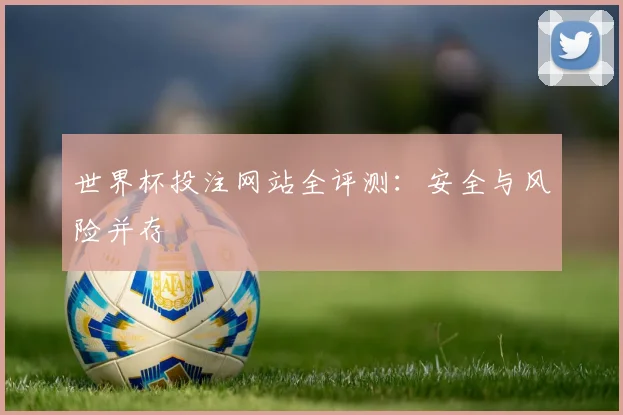 世界杯投注网站全评测：安全与风险并存