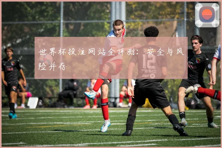 世界杯投注网站全评测：安全与风险并存
