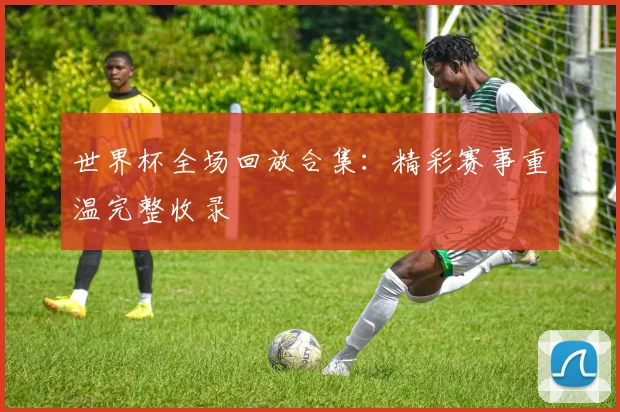 世界杯全场回放合集:精彩赛事重温完整收录