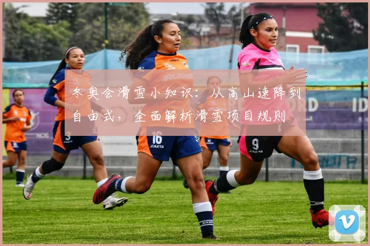 冬奥会滑雪小知识：从高山速降到自由式，全面解析滑雪项目规则