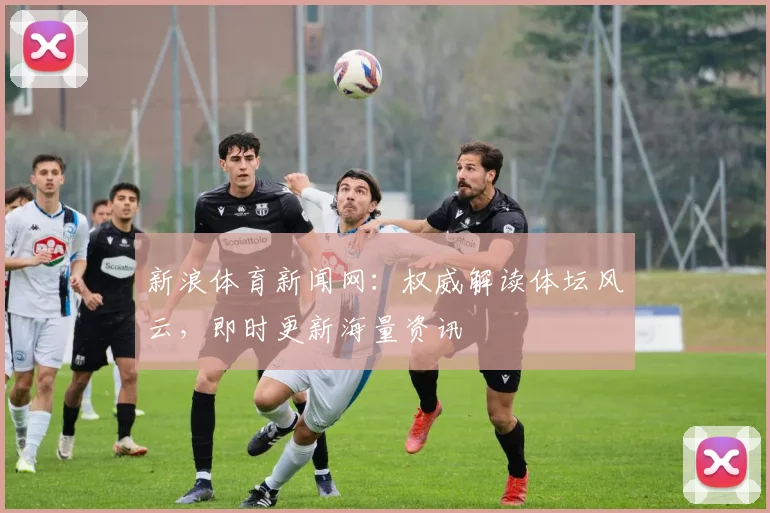 新浪体育新闻网：权威解读体坛风云，即时更新海量资讯